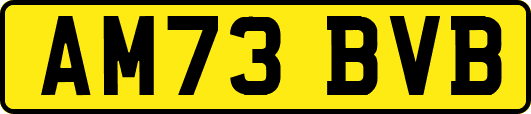 AM73BVB