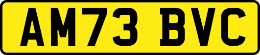 AM73BVC