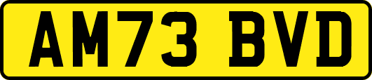 AM73BVD