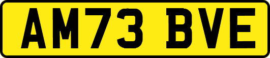 AM73BVE
