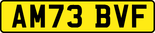 AM73BVF