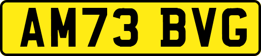 AM73BVG