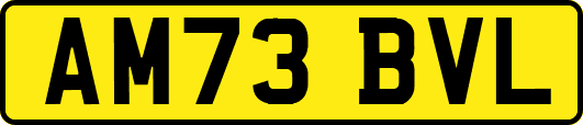 AM73BVL