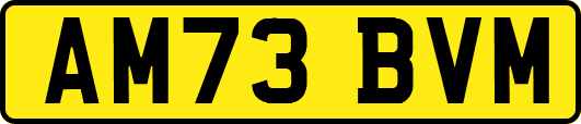 AM73BVM