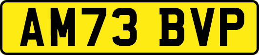 AM73BVP
