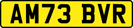 AM73BVR