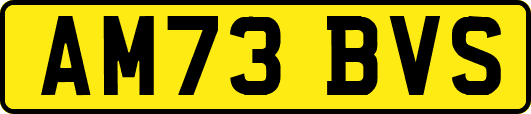 AM73BVS