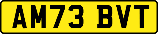 AM73BVT