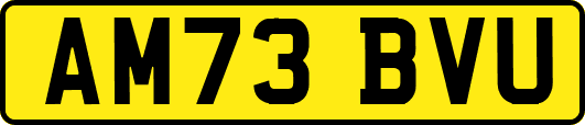 AM73BVU