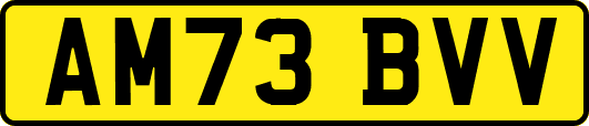 AM73BVV