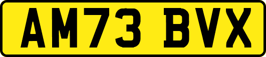 AM73BVX