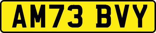 AM73BVY