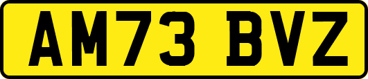 AM73BVZ