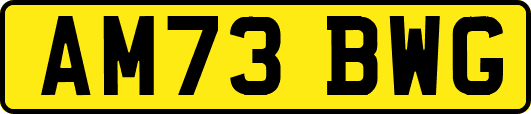 AM73BWG