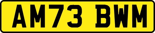 AM73BWM