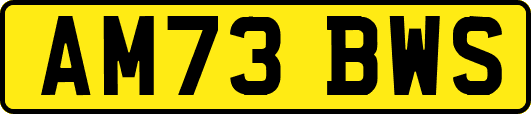 AM73BWS