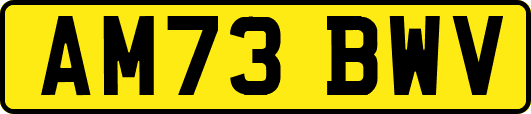 AM73BWV