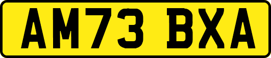 AM73BXA