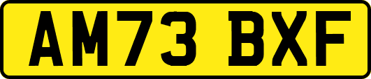 AM73BXF