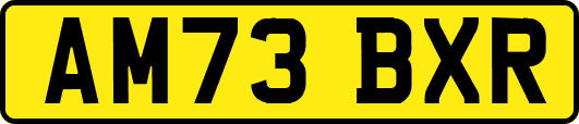 AM73BXR