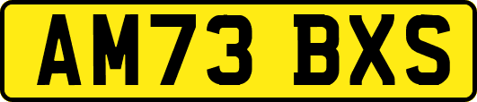 AM73BXS