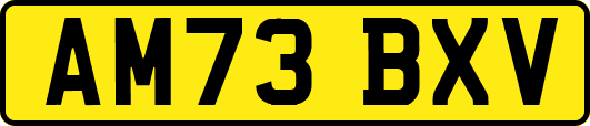 AM73BXV
