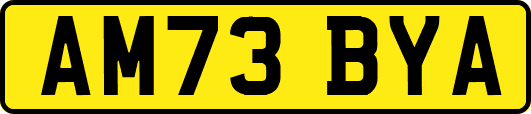 AM73BYA