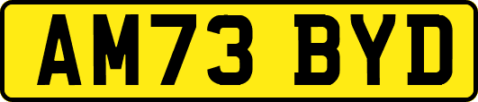 AM73BYD