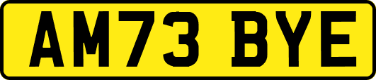 AM73BYE