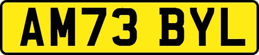 AM73BYL