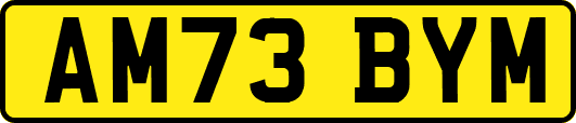 AM73BYM