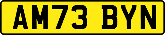 AM73BYN
