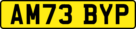 AM73BYP