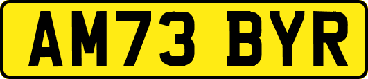 AM73BYR