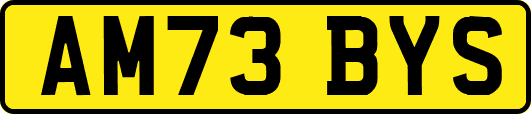 AM73BYS
