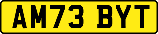 AM73BYT