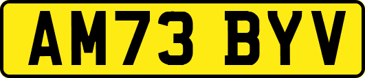 AM73BYV