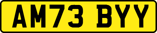 AM73BYY