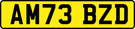 AM73BZD