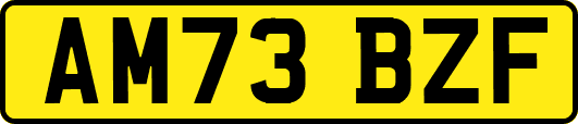 AM73BZF