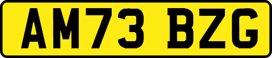 AM73BZG