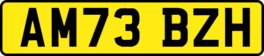 AM73BZH