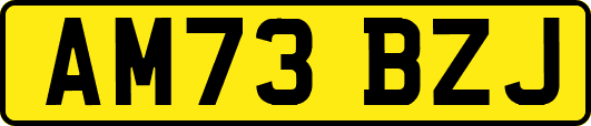 AM73BZJ