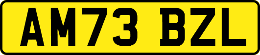 AM73BZL