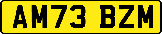 AM73BZM