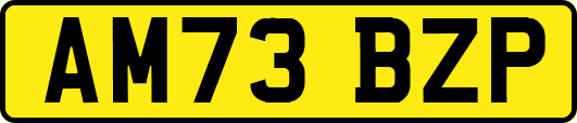 AM73BZP
