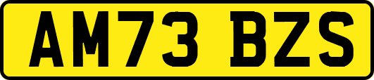 AM73BZS