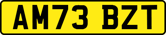 AM73BZT