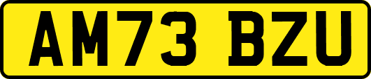 AM73BZU