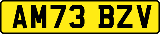AM73BZV
